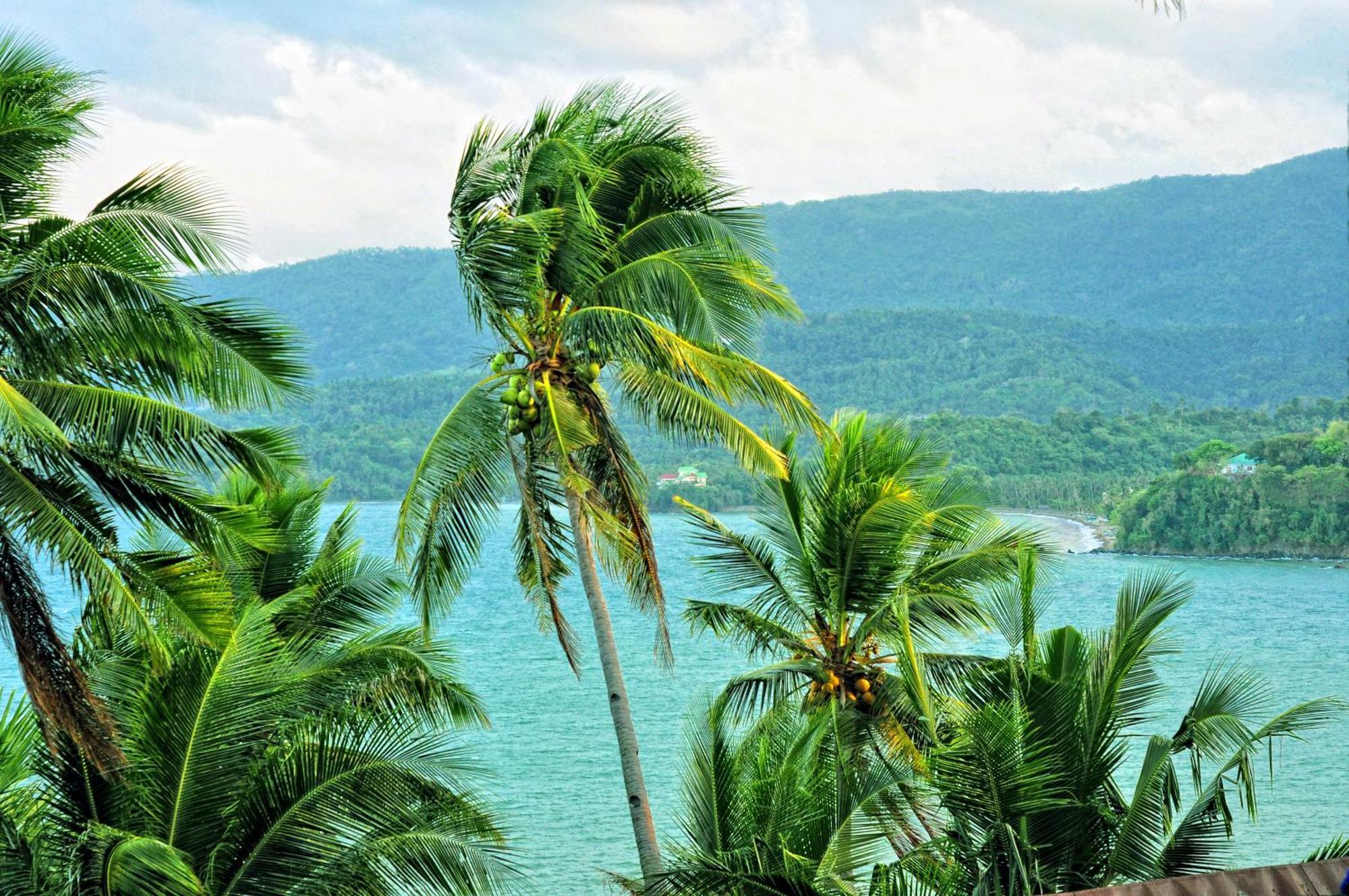 Villa De Pico Highland Beach Resort Puerto Galera Esterno foto